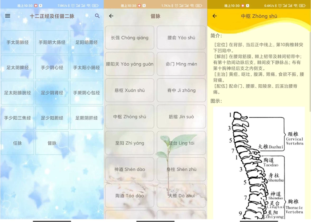 人体穴位图解 v3.2.0 可离线版-مەرمەر بىلوگى