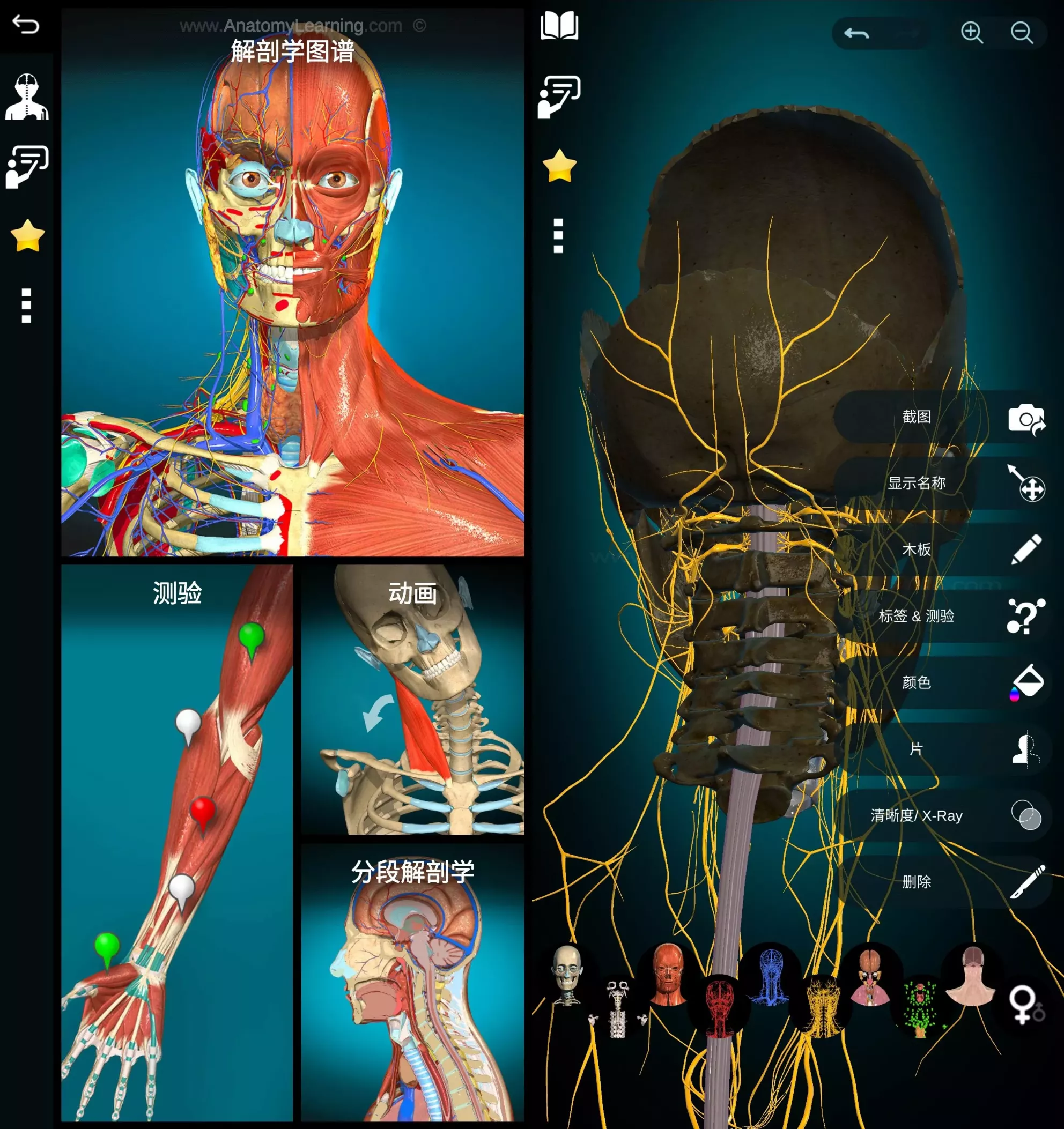 Anatomy Learning 3D解剖学图谱 v3.2.521 医学生必备学习专业软件 高级版-مەرمەر بىلوگى