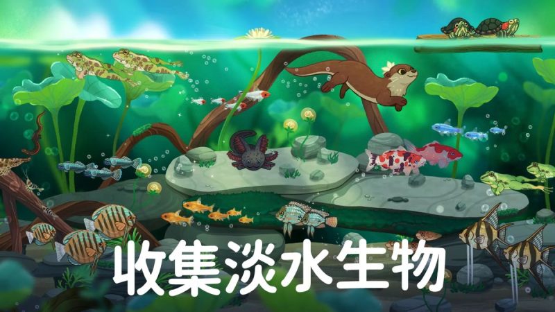 池趣(大量货币)-مەرمەر بىلوگى