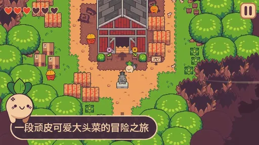 大头菜历险记（免付费解锁完整版）-مەرمەر بىلوگى
