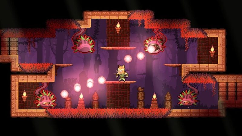 护林猿神中文switch模拟器！(游戏)-مەرمەر بىلوگى