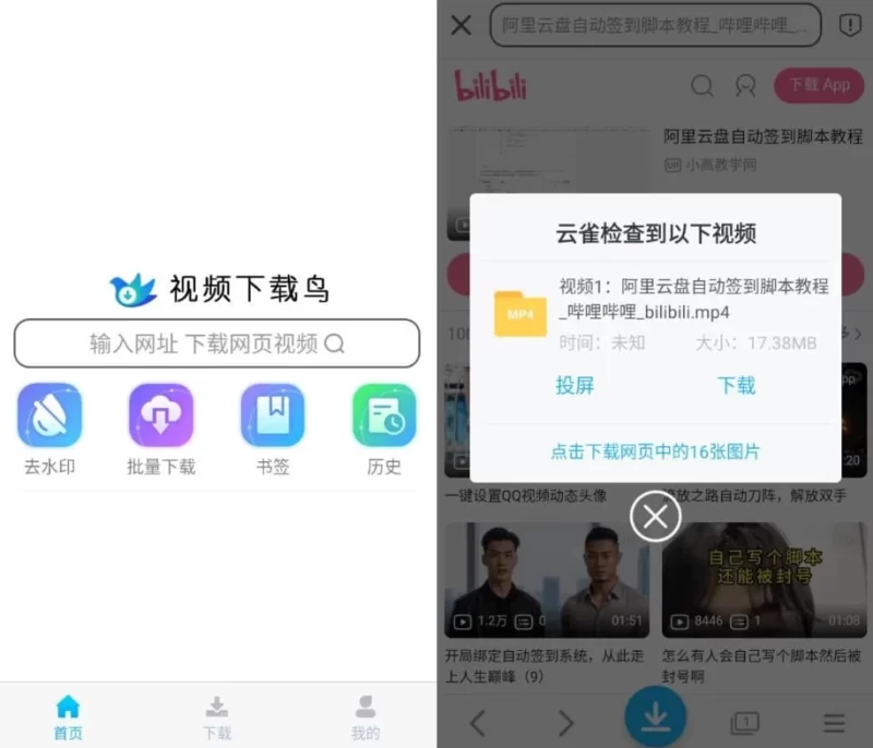 视频下载鸟 v20.06 高级版-مەرمەر بىلوگى