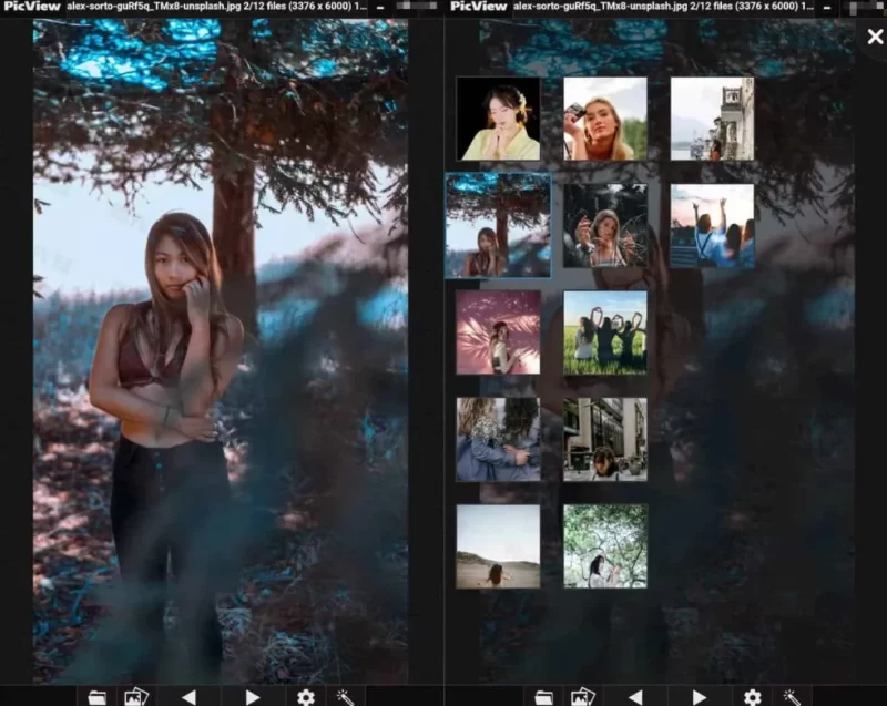 PicView v5.0.2 开源免费图像浏览器，中文多语绿色版-مەرمەر بىلوگى