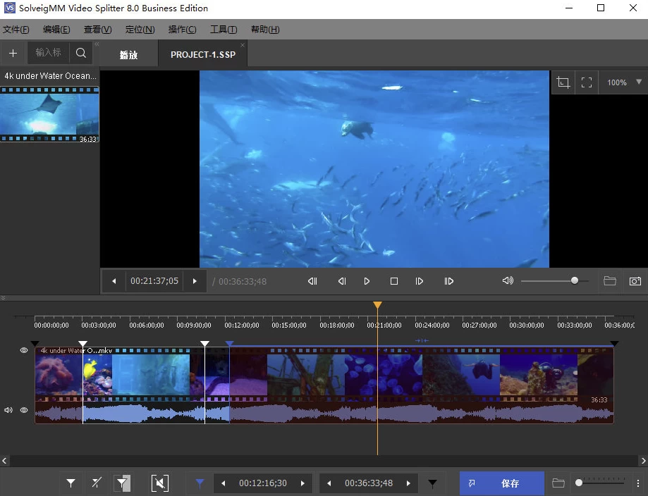 SolveigMM Video Splitter 视频剪辑 v9.0.2604.22 特别版-مەرمەر بىلوگى