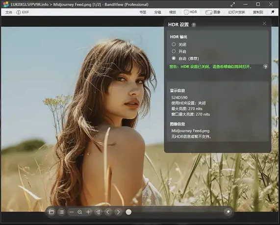 BandiView 图像查看器 v7.27.0 绿色版-مەرمەر بىلوگى