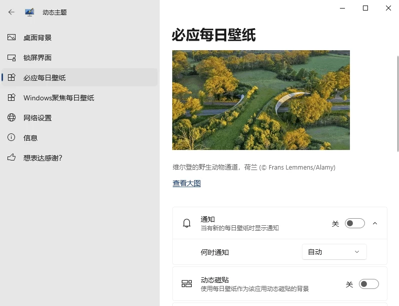 Dynamic Theme 自动更换壁纸 v1.7.104.0 官方中文版-مەرمەر بىلوگى