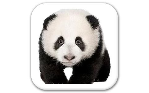 熊猫精灵脚本助手 v3.1 零代码生成自动化效率软件-مەرمەر بىلوگى