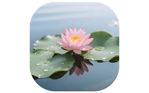 荷花壁纸 v1.1 去广告-مەرمەر بىلوگى