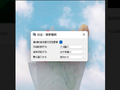 Pineapple Pictures(菠萝看图) v1.5.0 中文免费绿色版-مەرمەر بىلوگى