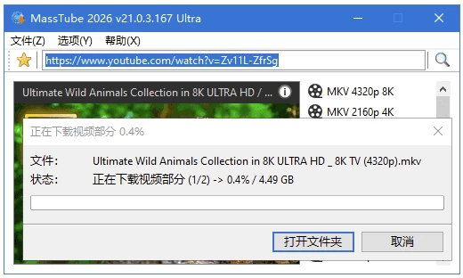 MassTube Ultra YouTube视频下载工具 v22.1.1.218 多语便携版-مەرمەر بىلوگى