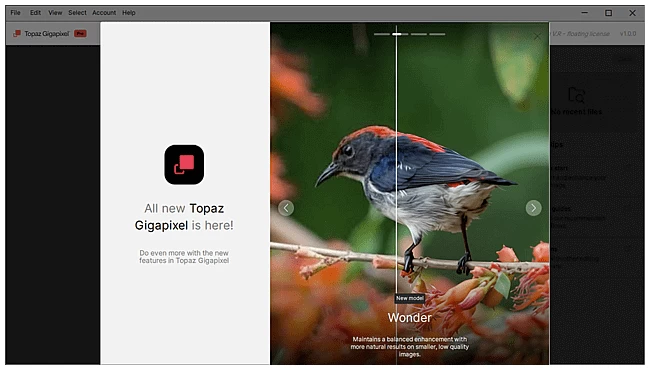 Topaz Gigapixel Pro 图像超分辨率软件 v1.3.4 直装破解版-مەرمەر بىلوگى